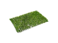 INBLOOM Изгородь искусственная Газон 40?60см, PE (419-001)