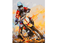 БЕЛОСНЕЖКА 989-AS Гонщик