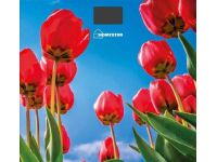 Весы HOMESTAR HS-6001I(5187)