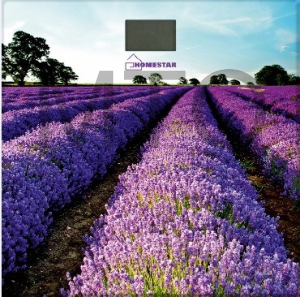 Весы HOMESTAR HS-6001G (4545)