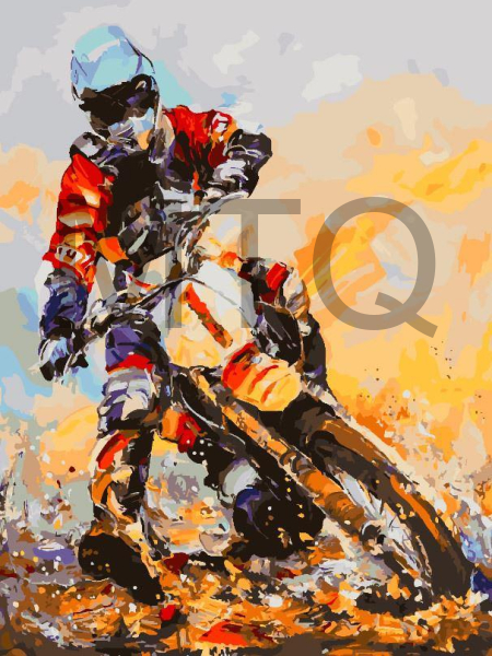 БЕЛОСНЕЖКА 989-AS Гонщик