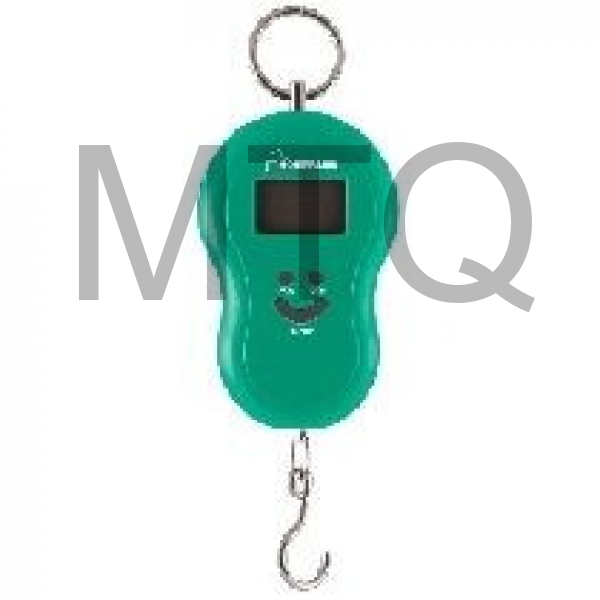 HOMESTAR HS-3003 (002692) безмен