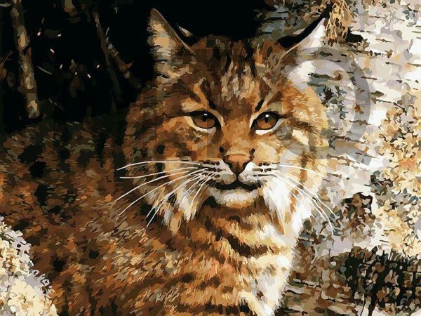 БЕЛОСНЕЖКА 933-AS Лесной часовой