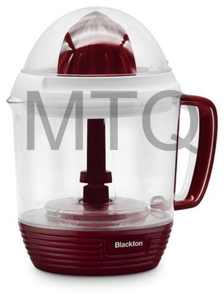 BLACKTON Bt J1112 Burgundy-White