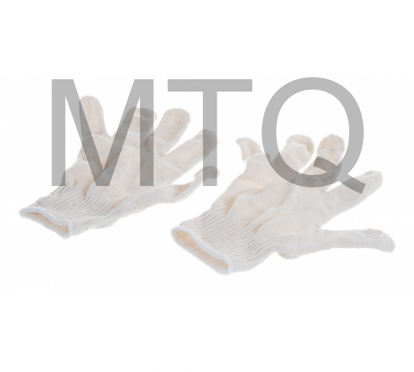 РОССИЯ Перчатки трикотажные, 10 класс 67786