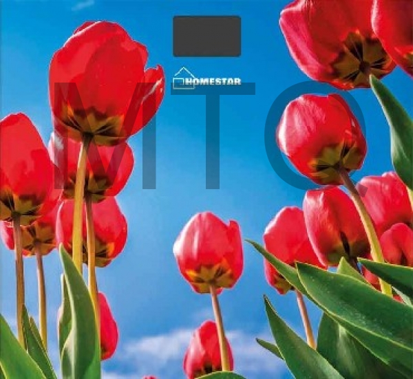 Весы HOMESTAR HS-6001I(5187)