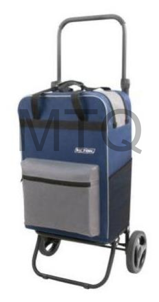 ИСТОК Спутник 3 Макси" Плюс СТМП31