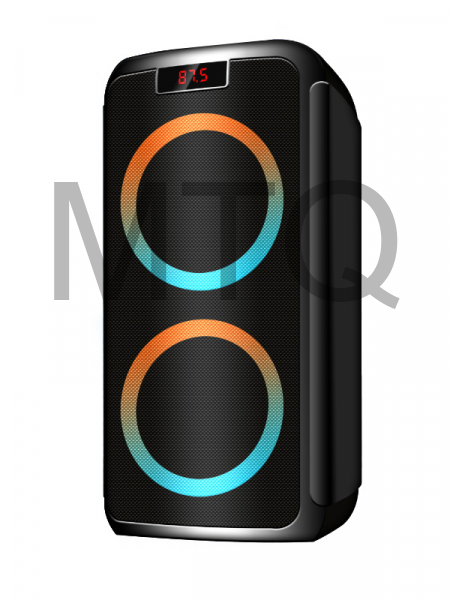 Минисистемы GINZZU GM 202