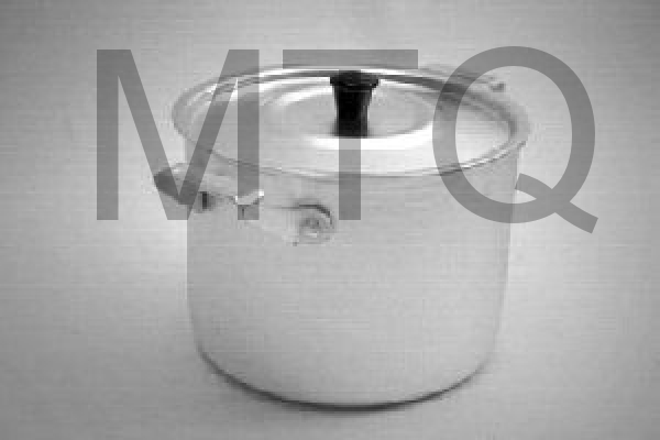 ДЕМИДОВСКИЙ ЗАВОД МТ072 4,5 л